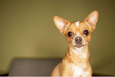 明早将有新的宣布？玩家在洛杉矶碰到宫崎英高